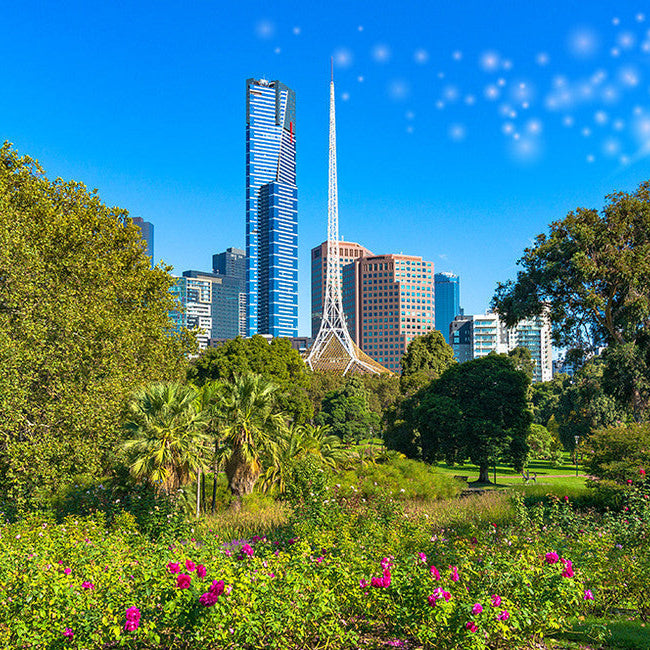 Leafy Greens in Melbourne