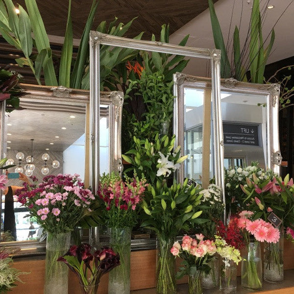 Ornate Frames add style to our contemporary world