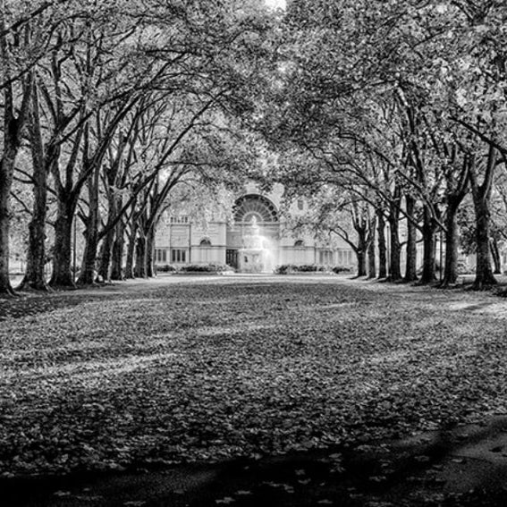 Photograghs of MELBOURNE and NEW YORK