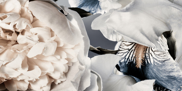 Peony and Iris