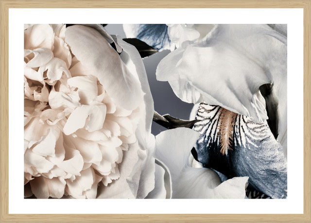 Peony and Iris