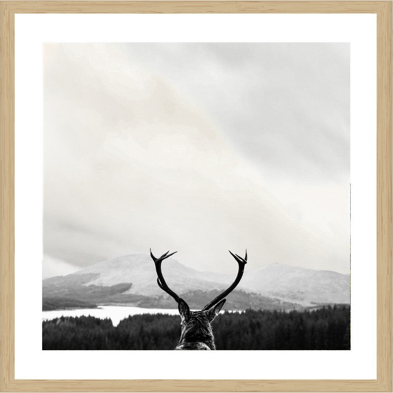 Deer Views | Oak frame