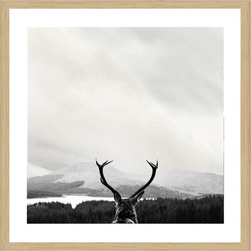 Deer Views | Oak frame