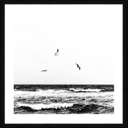 Birds at the beach | Black frame
