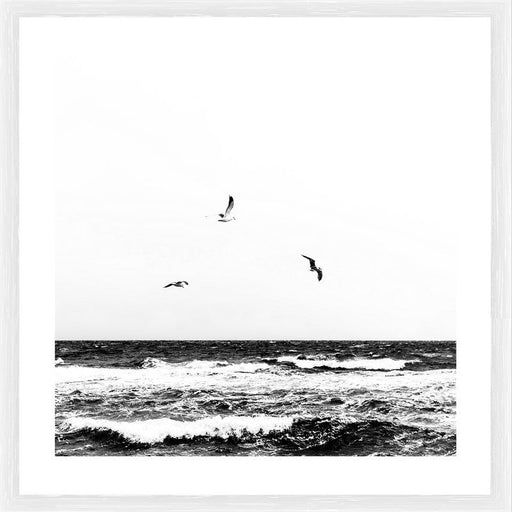 Birds at the beach | White frame