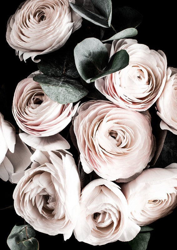 Blush Blooms