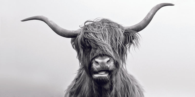 Billy | Framed Print