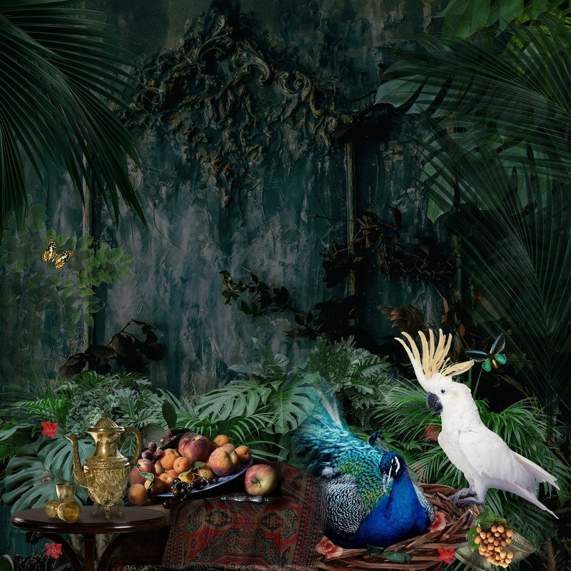 Forest Fantasy | Framed Print