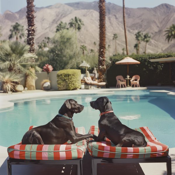 Doc n Pepper | Framed Print