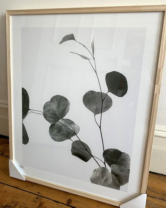 Framed Print | Eucalyptus Branch in Oak Frame 1