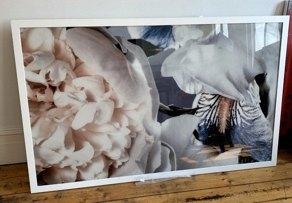 Iris and Peony Rose