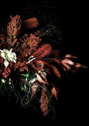 Amber Arrangement | Elise Catterall