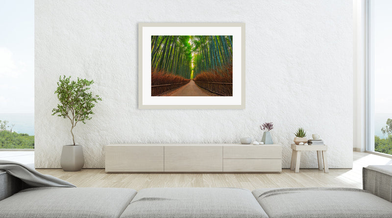 Bamboo Forest | Large  Format | by Nick Psomiadis