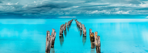 Photography | Bellarine Bliss | Nick Psomiadis