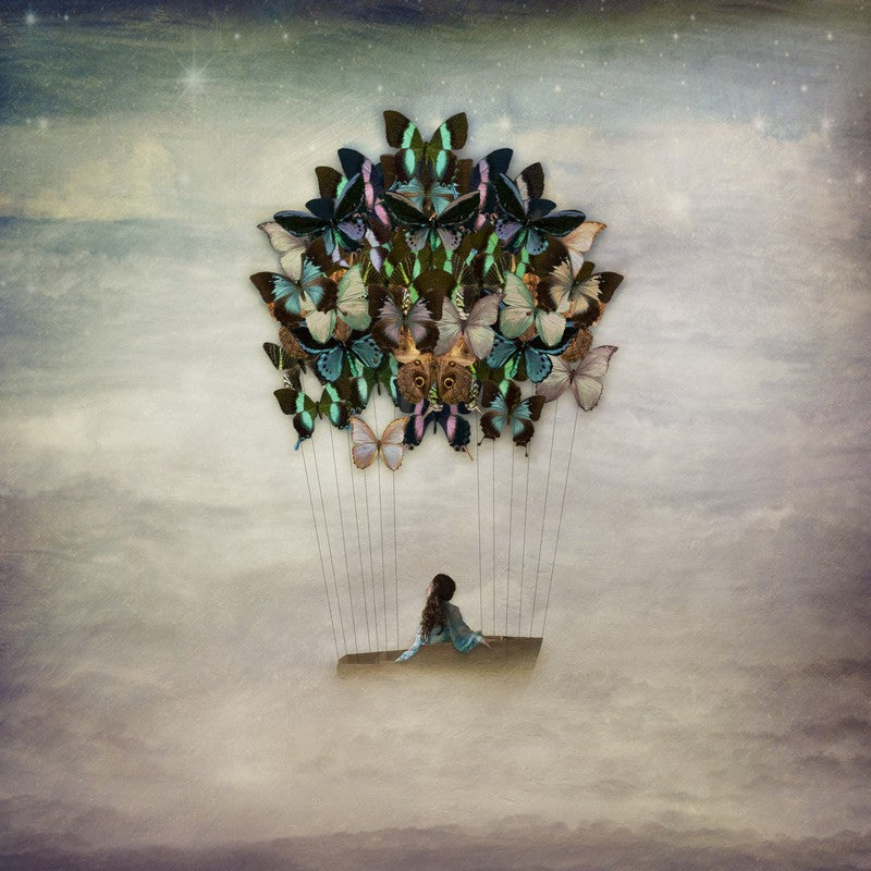 Blissful Drift | Kellie North