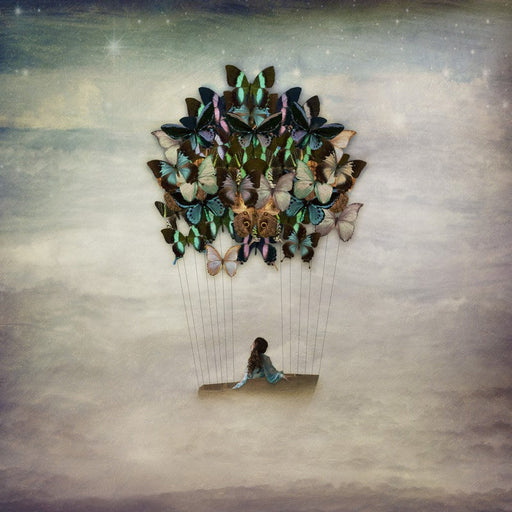 Blissful Drift | Kellie North