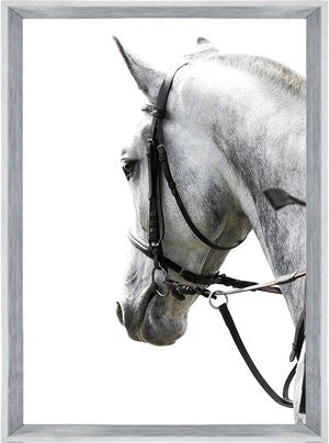 On Trend Image | Bronco | Print Decor, Melbourne
