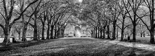 Photography | Carlton Gardens II | Nick Psomiadis