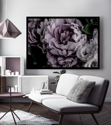 Pink Carnation