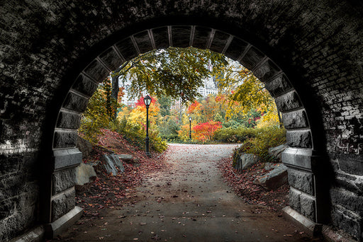  Photography | Central Park Underpass | Nick Psomiadis