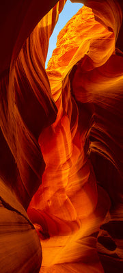 Photography | Crimson Flame | Wide Format | by Nick Psomiadis