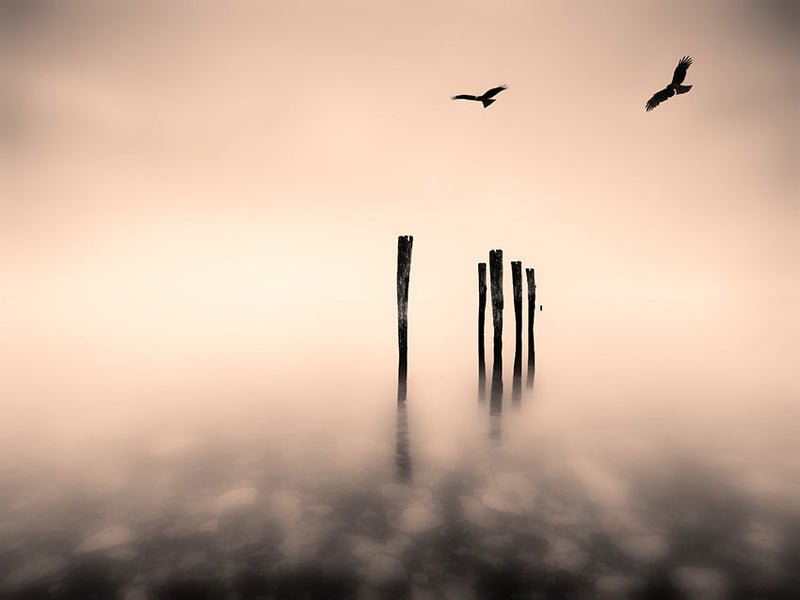 Photography | Dreaming  |  by Nick Psomiadis 