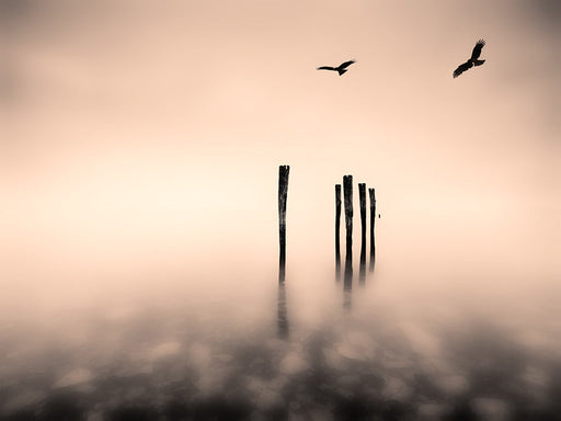 Photography | Dreaming  |  by Nick Psomiadis 