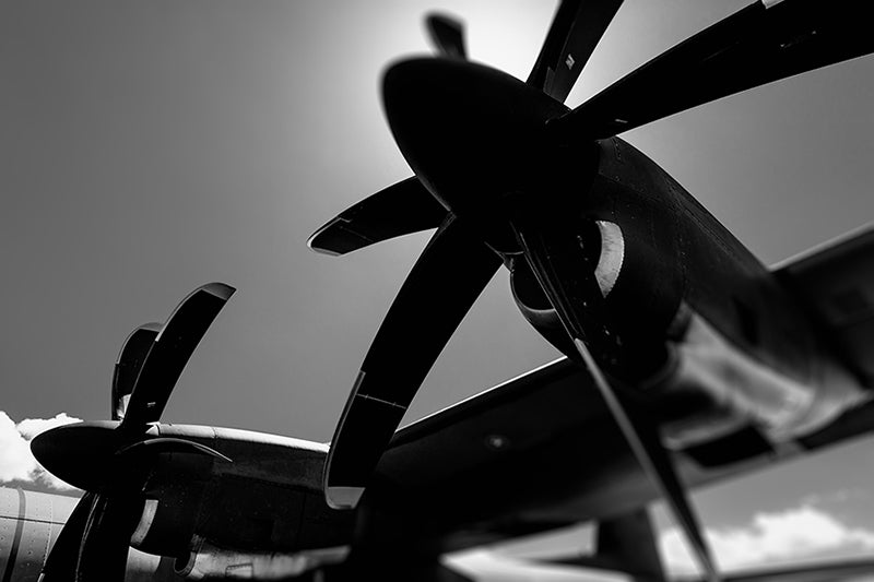 Photography | Feathered Props |  by Nick Psomiadis 