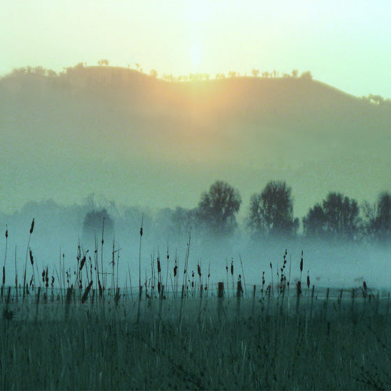 Jan Neil, First Light 