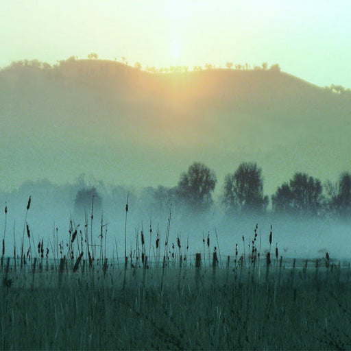 Jan Neil, First Light 