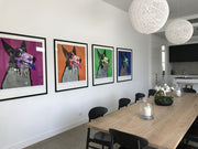 Pack of 4 Growlers In a room