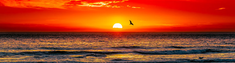 Photography | Gunnamatta Sunset | Nick Psomiadis 