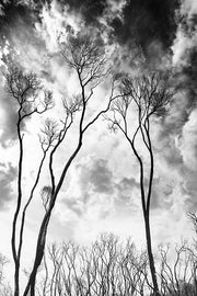  Photography | Heritage Walk | Nick Psomiadis