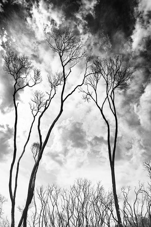  Photography | Heritage Walk | Nick Psomiadis