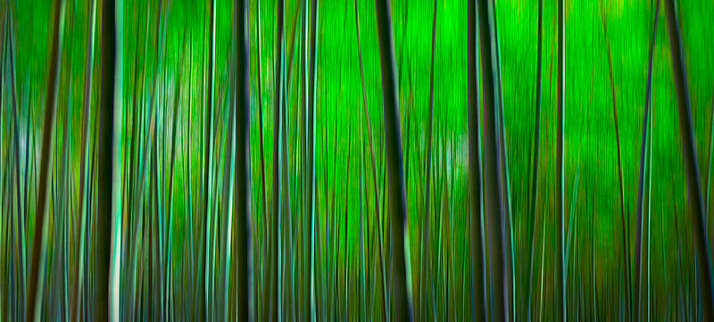 Photography | Japan | Wide Format | by Nick Psomiadis