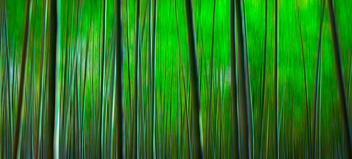 Photography | Japan | Wide Format | by Nick Psomiadis