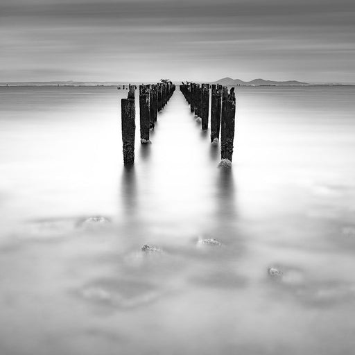 Jetee  | Nick Psomiadis