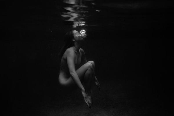 Signature Series # 2 by Francesca Owen