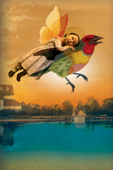Lovebird