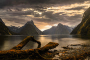 Photography | Milford Sound  | Nick Psomiadis