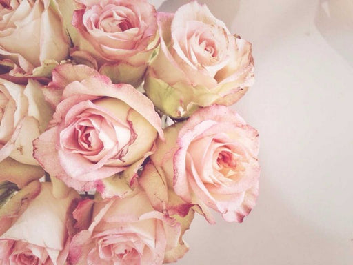 Flower image | Karen Tonna | Print Decor