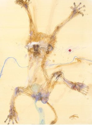 Limited Edition Print | John Olsen | Print Decor