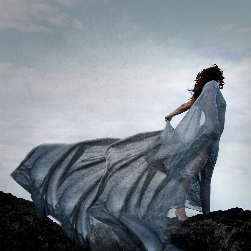On the Wind | Kellie North