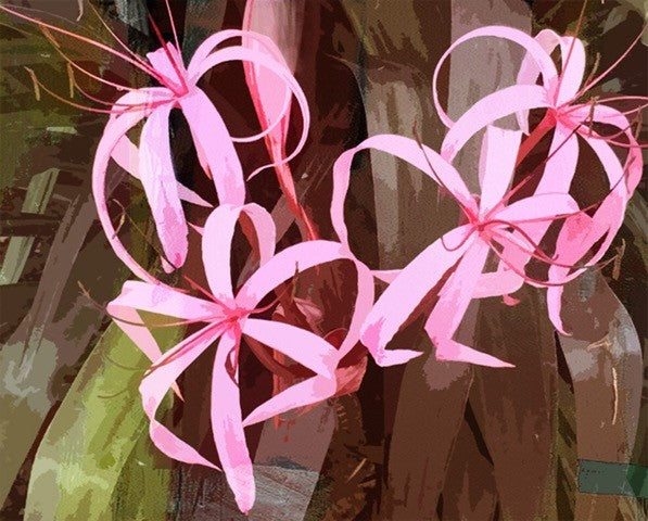 Orchid