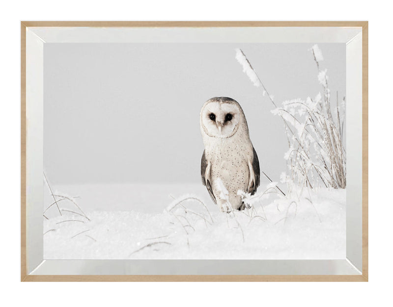 Peaky Owl