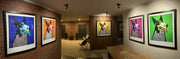 Pack of 5 Growlers In a room