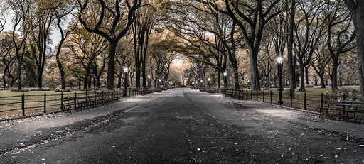 Photography | Poets Walk Central Park | Wide Format | by Nick Psomiadis
