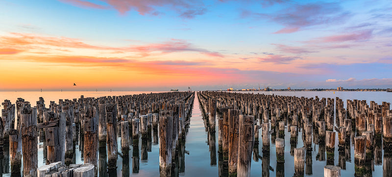 Photography | Princes Pier Sunrise | Wide Format | by Nick Psomiadis
