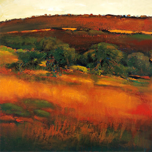 Jan Neil, Red Centre 1