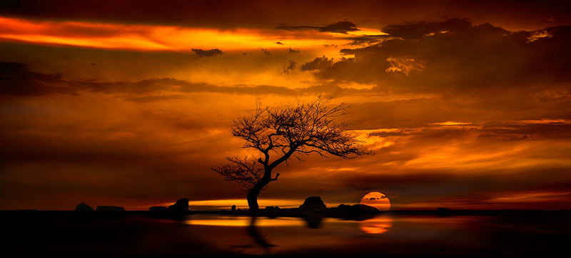 Photography | Red Earth Reflections | Wide Format | by Nick Psomiadis